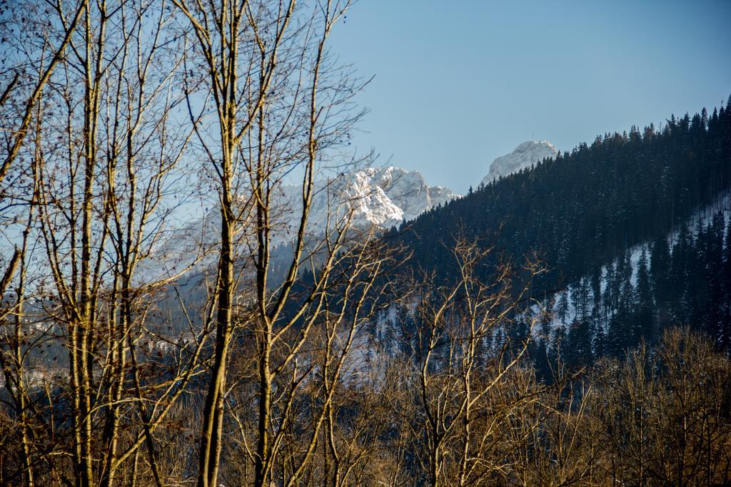 קושצ'ליסקו Dolina Resort Zakopane חדר תמונה